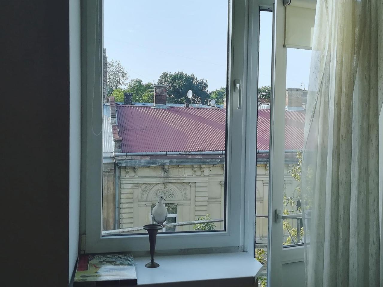 Valentine Apartment Lviv Ngoại thất bức ảnh